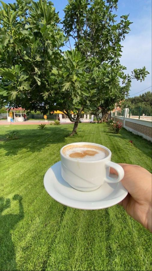 Dream Town Hotel&Restaurant Кемер Экстерьер фото